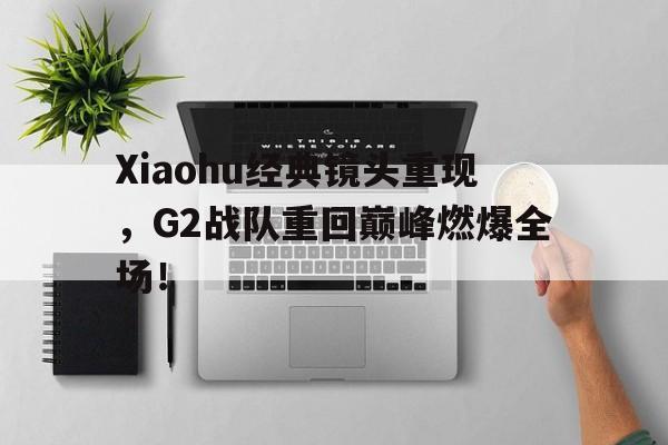 Xiaohu经典镜头重现，G2战队重回巅峰燃爆全场！-平博APP